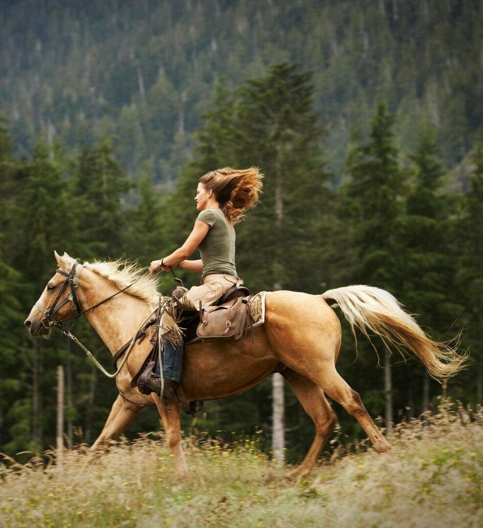 Woman riding a horse through a field along a tree line with tree covered mountain view in the background.  Healthy looking woman and horse. 