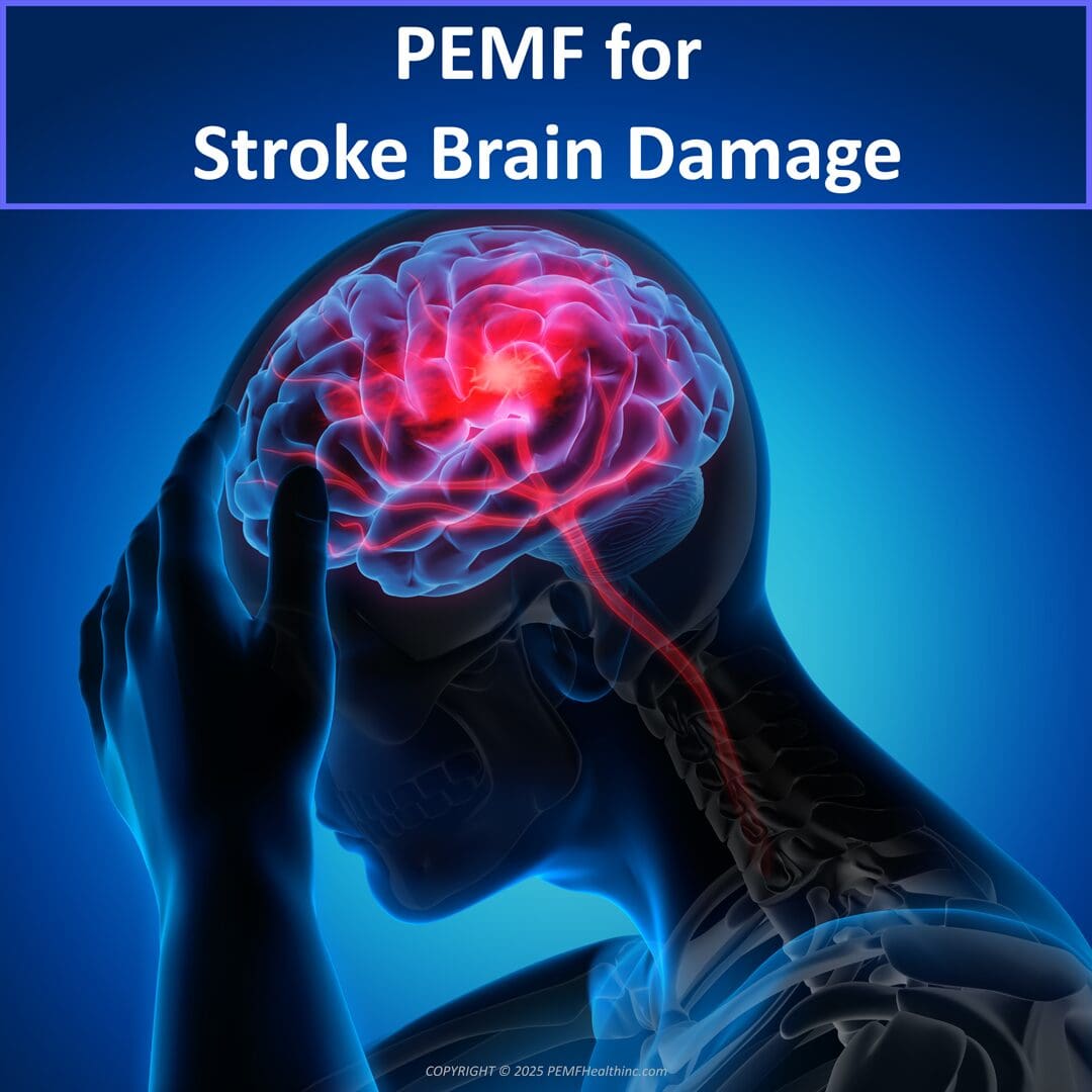 Brain Damage 2025 1080x1080 Brain Damage 2025 1080x1080
